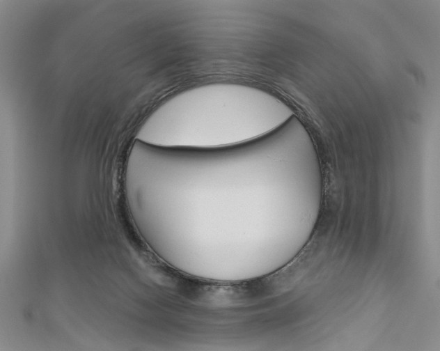 X0000113150074200909040940