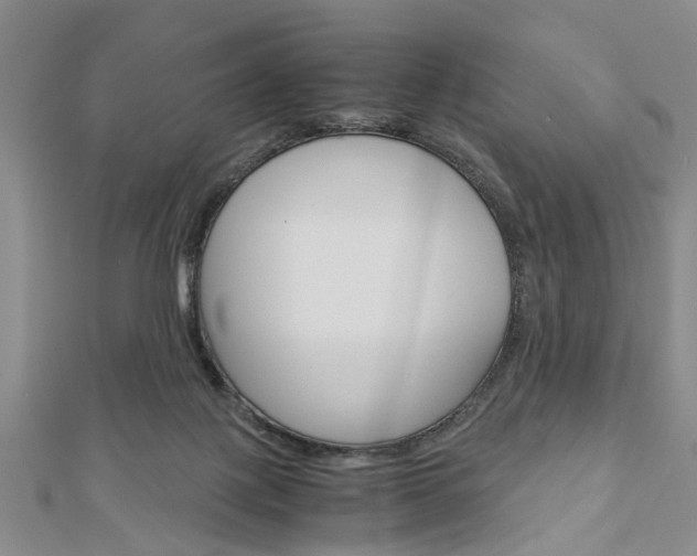 X0000113150075200909040940