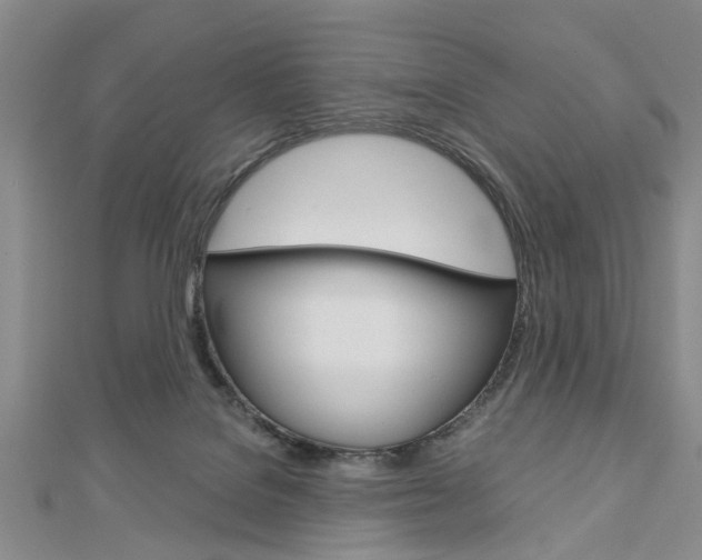 X0000113150076200909040940