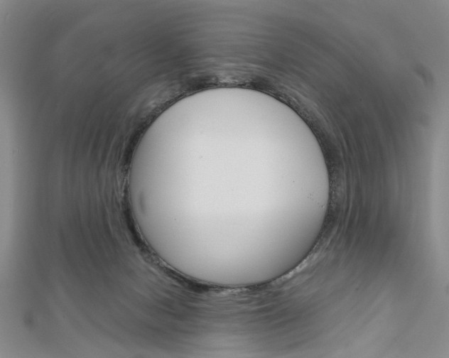 X0000113150078200909040940