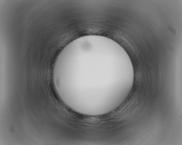 X0000113150079200909040940