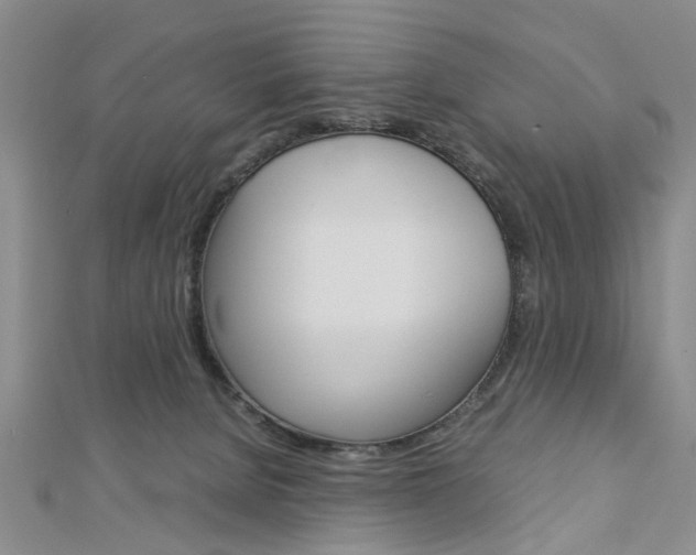 X0000113150080200909040940