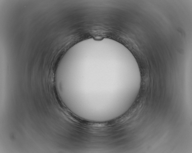 X0000113150081200909040940