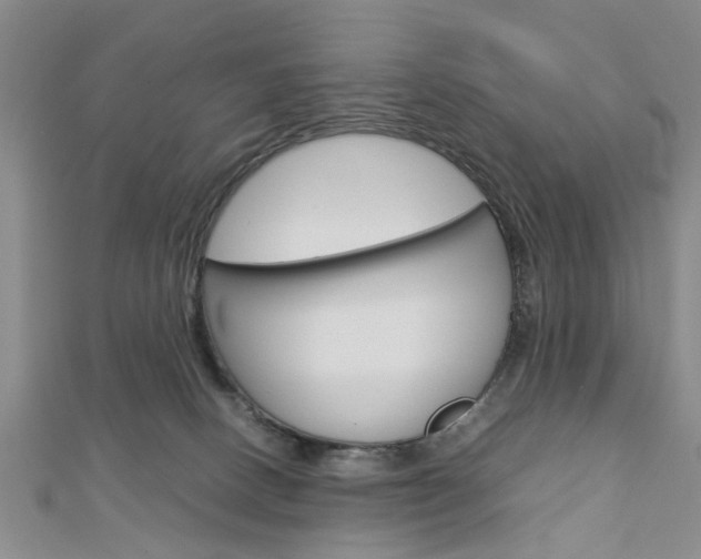 X0000113150082200909040940
