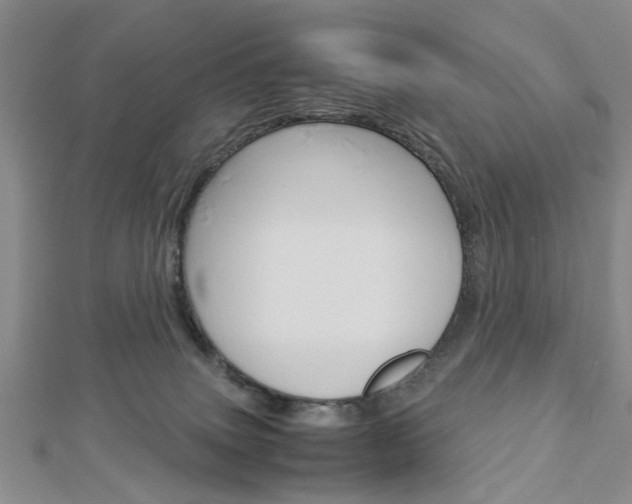 X0000113150083200909040940
