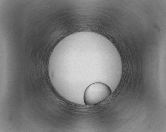 X0000113150084200909040941