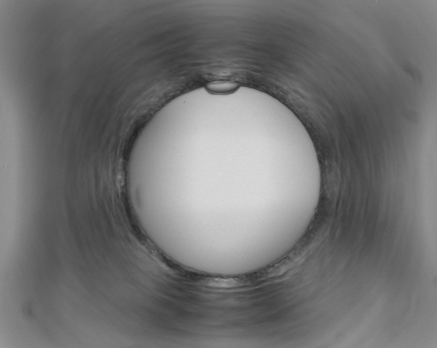 X0000113150085200909040941