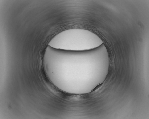 X0000113150086200909040941
