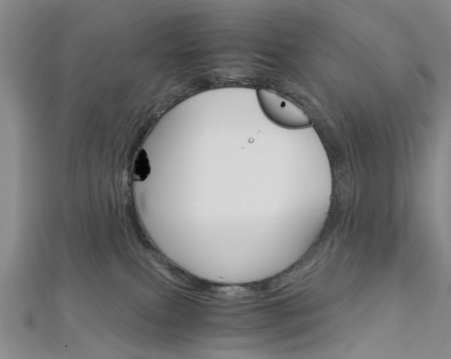X0000113150087200909040941