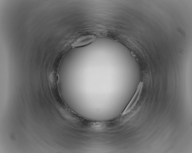 X0000113150088200909040941