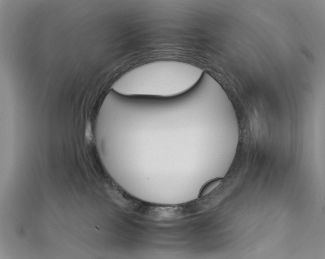 X0000113150089200909040941