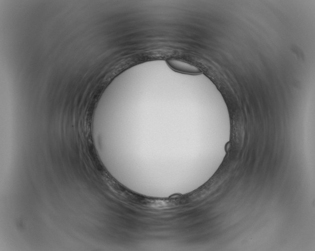 X0000113150091200909040941