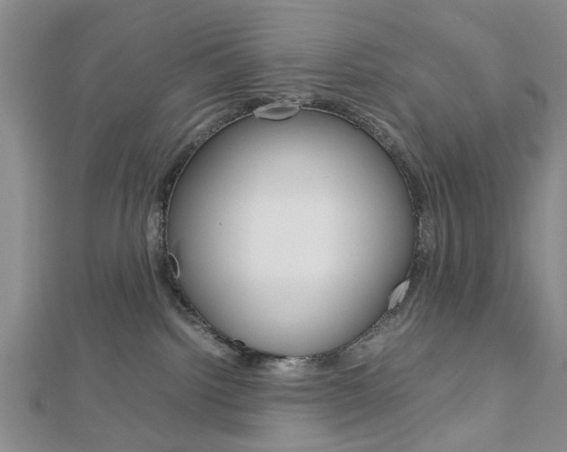 X0000113150092200909040941