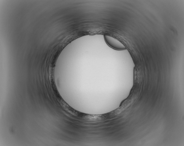 X0000113150093200909040941