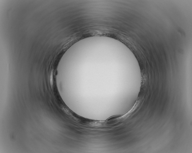 X0000113150094200909040941
