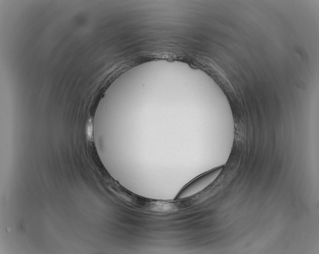 X0000113150095200909040941