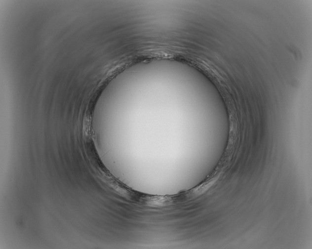 X0000113150096200909040941