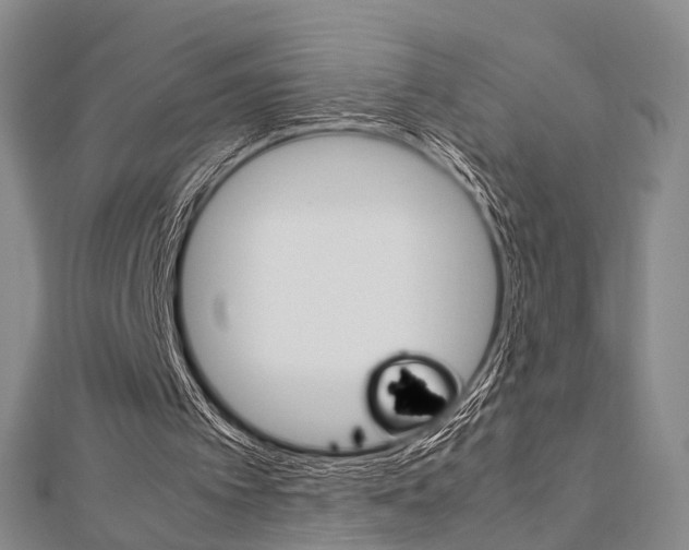 X0000113150097200909040940