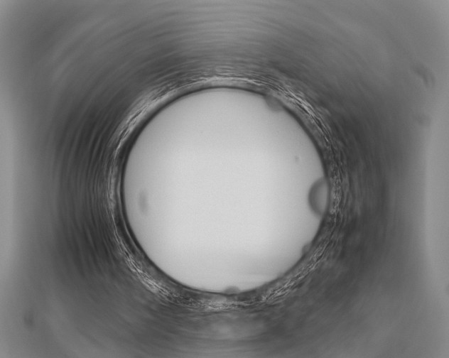 X0000113150098200909040940