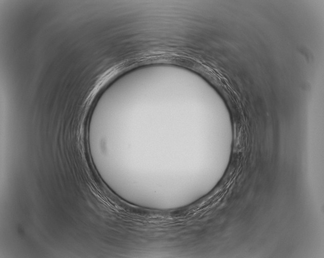 X0000113150099200909040940