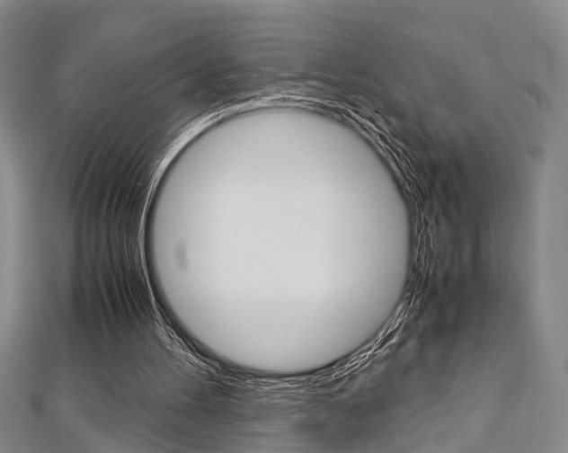 X0000113150100200909040940