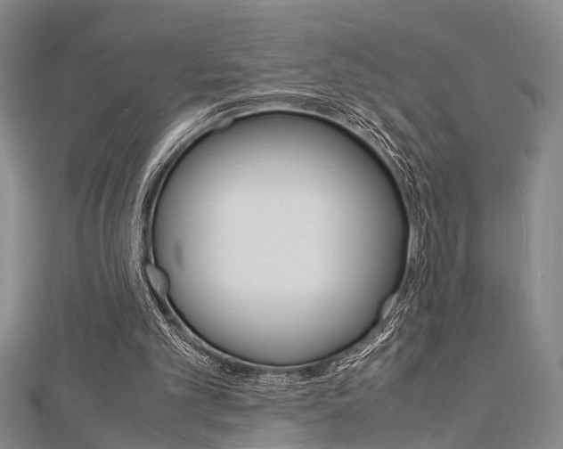 X0000113150101200909040940
