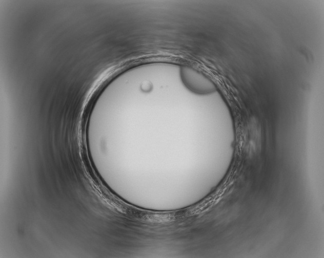 X0000113150102200909040940