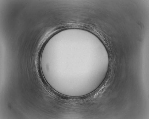 X0000113150103200909040940