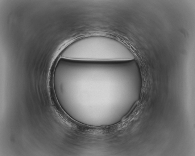 X0000113150104200909040940