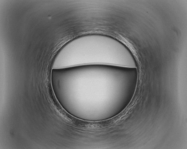 X0000113150105200909040940