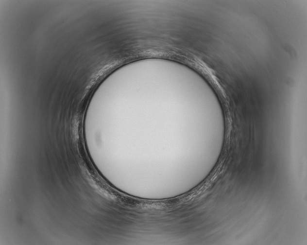 X0000113150106200909040940
