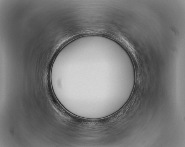 X0000113150107200909040940