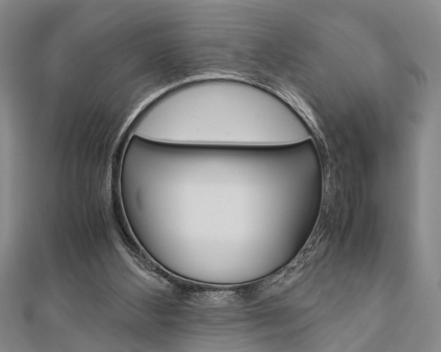 X0000113150108200909040940