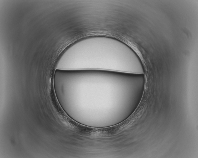X0000113150109200909040940