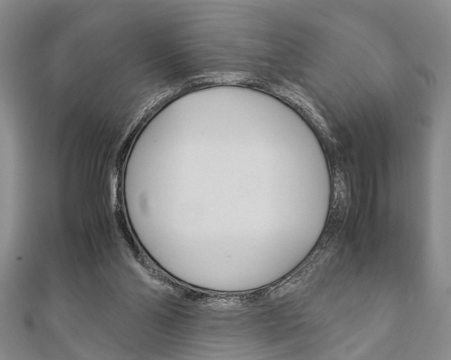 X0000113150110200909040940