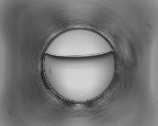 X0000113150111200909040940