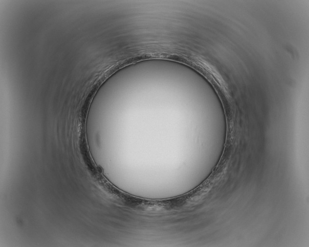 X0000113150113200909040940
