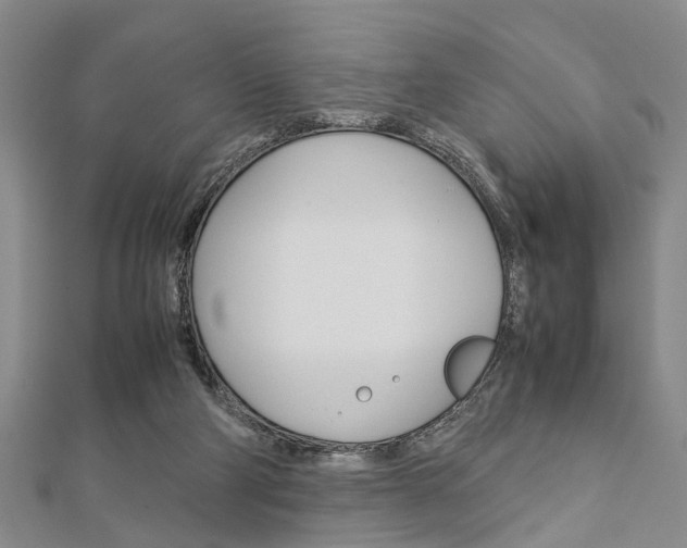 X0000113150114200909040940