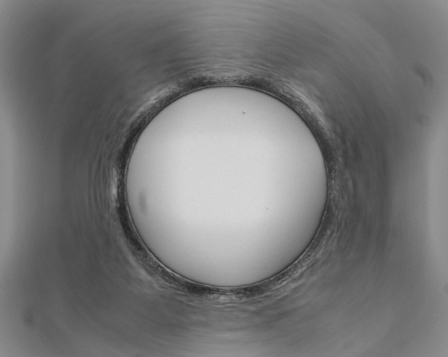 X0000113150115200909040940