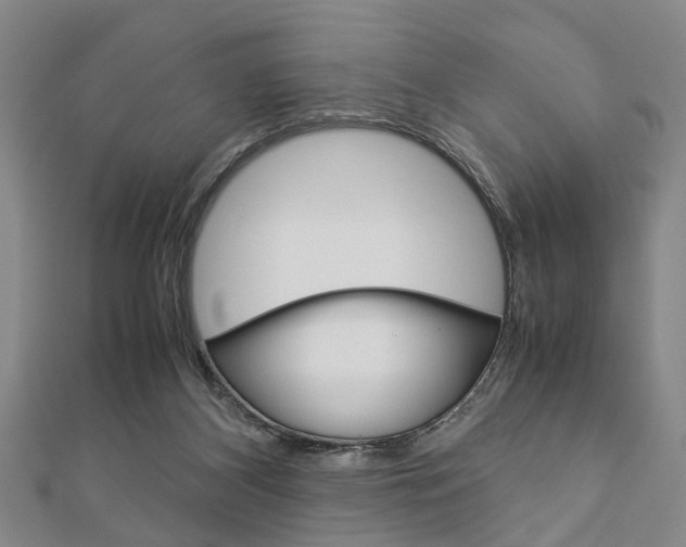 X0000113150116200909040940