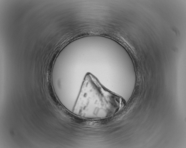 X0000113150117200909040940