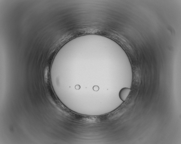 X0000113150118200909040940