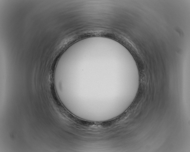 X0000113150119200909040940
