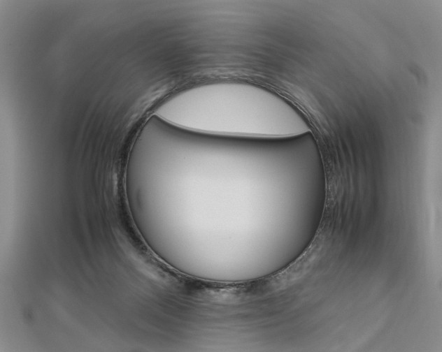 X0000113150120200909040940