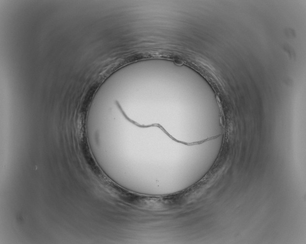 X0000113150121200909040940