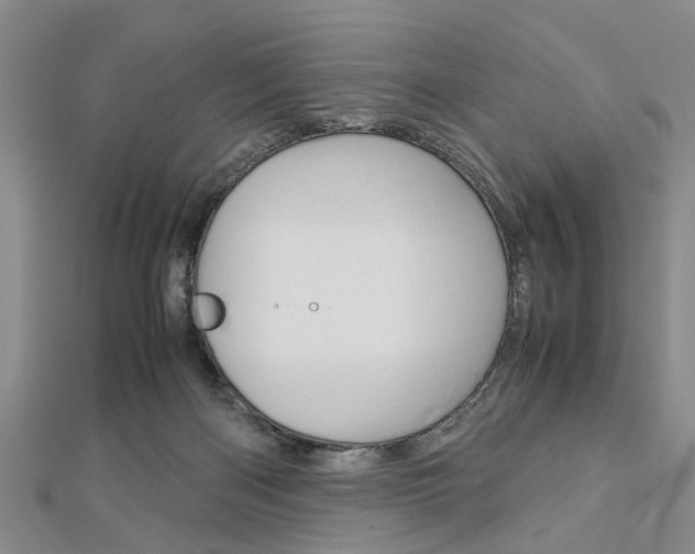 X0000113150122200909040940