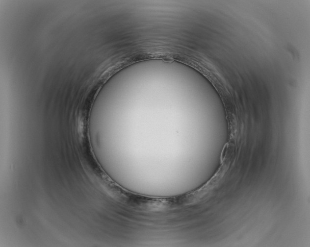 X0000113150124200909040940