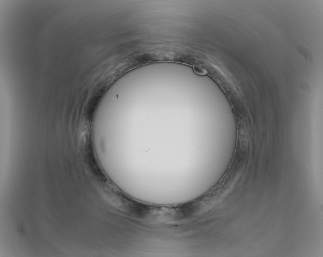 X0000113150125200909040940