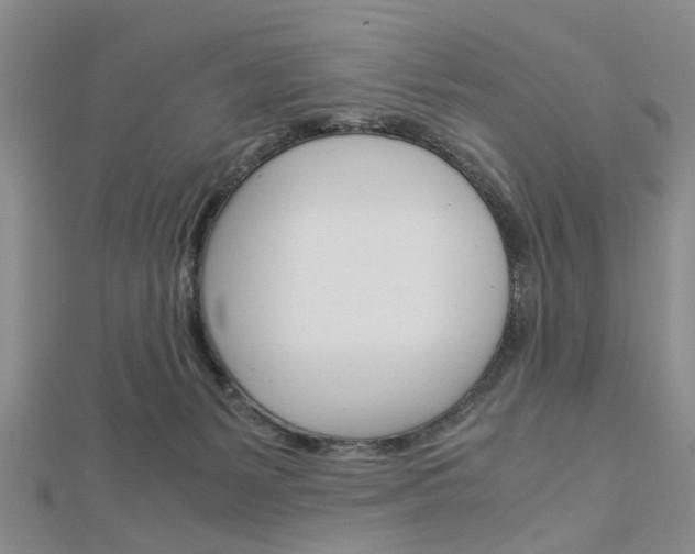 X0000113150127200909040940