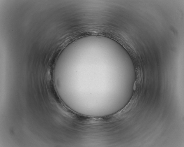 X0000113150128200909040940